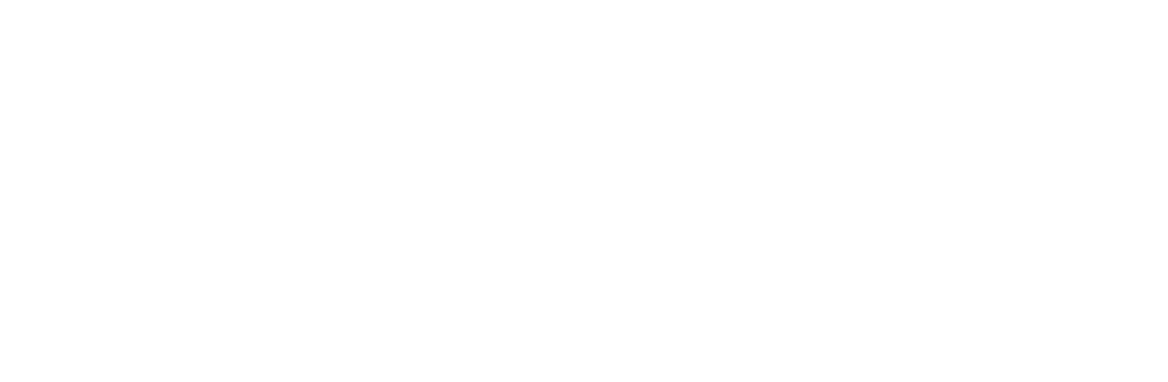 logo white